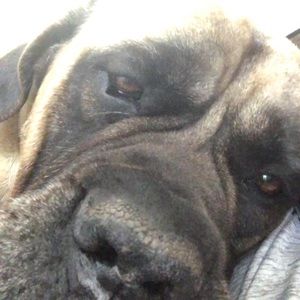 Meet your Posher, Chris